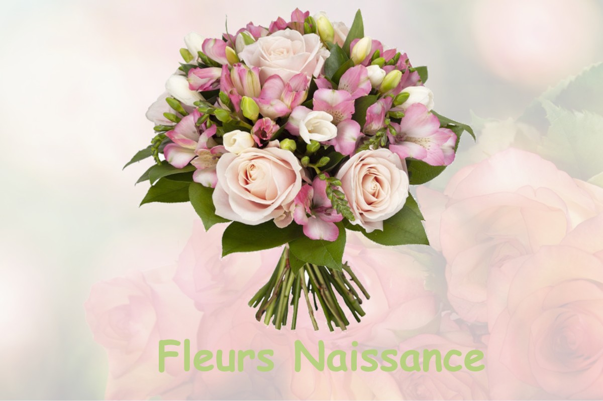 fleurs naissance LA-BOISSIERE-DES-LANDES
