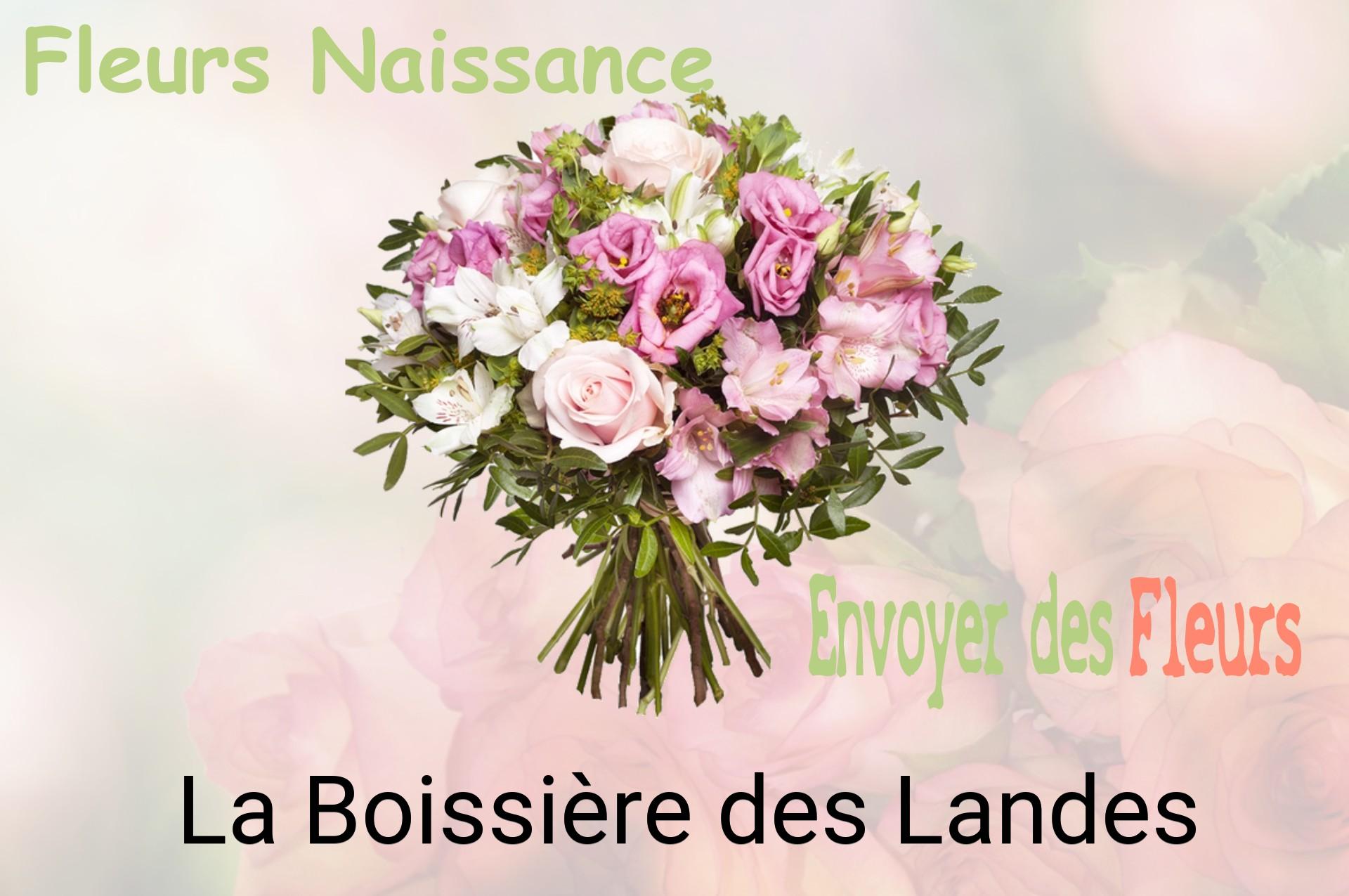 Bouquet de fleurs de naissance livré à La Boissière-des-Landes